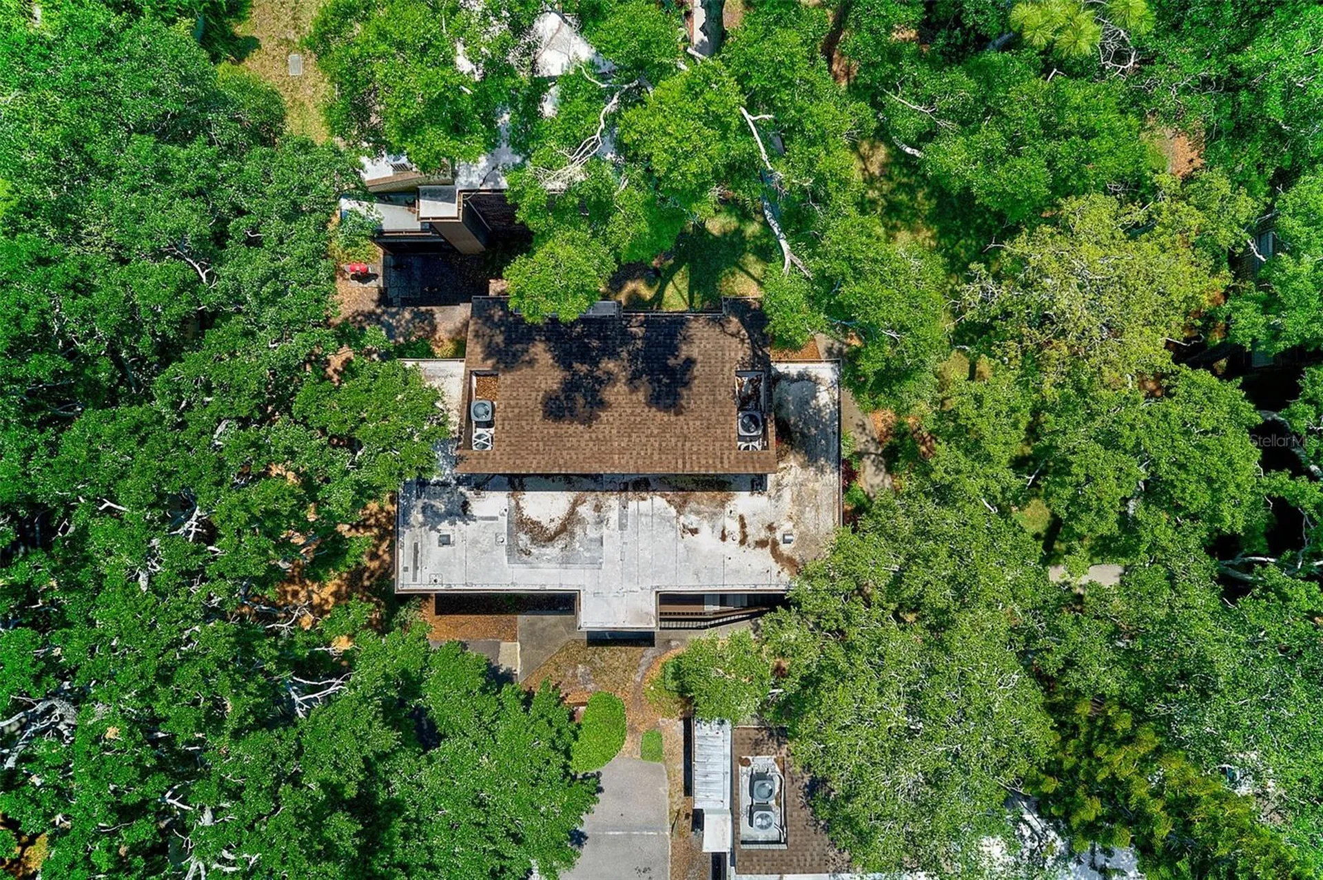 10453 Carrollbrook Circle Tampa FL 33618