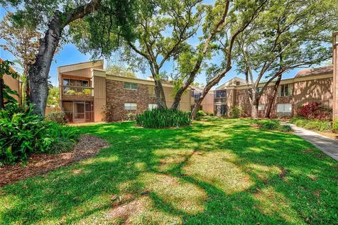 10453 Carrollbrook Circle Tampa FL 33618