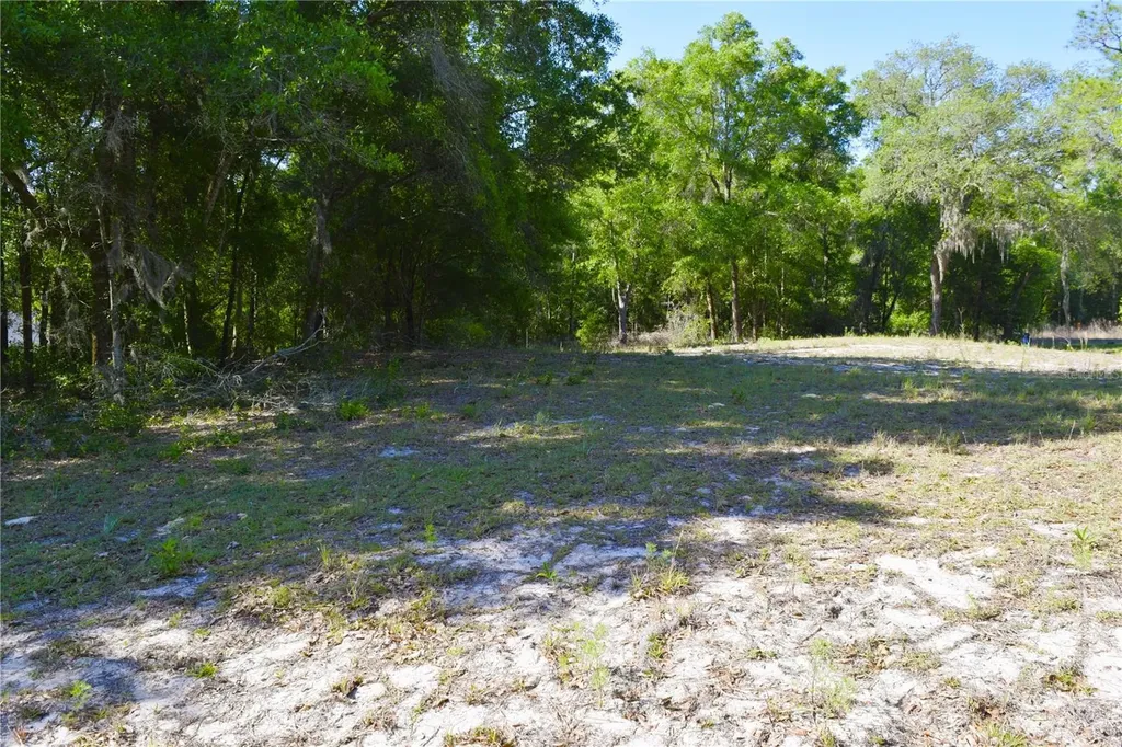 Tbd SW 34 Street Ocala FL 34481