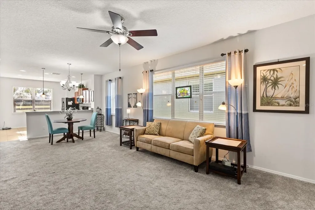 22024 Belgian Court Mount Dora FL 32757