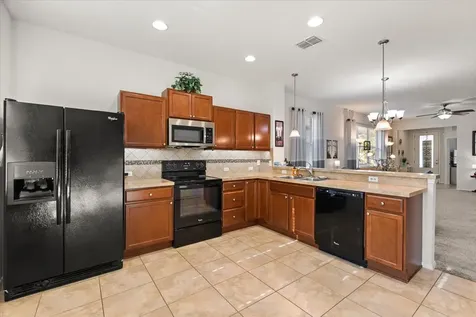 22024 Belgian Court Mount Dora FL 32757