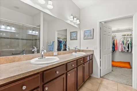 22024 Belgian Court Mount Dora FL 32757