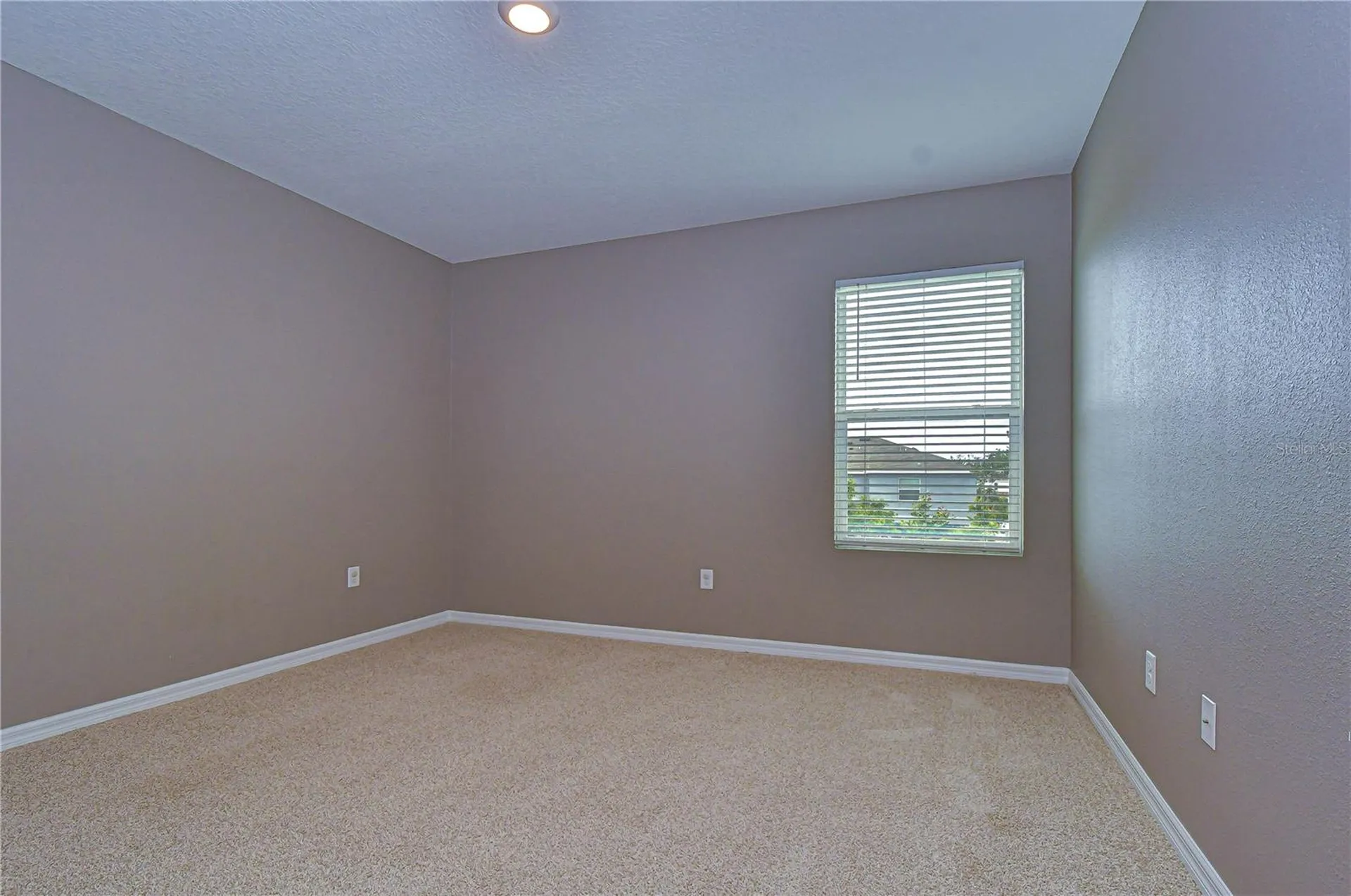 16607 Goose Ribbon Place Wimauma FL 33598