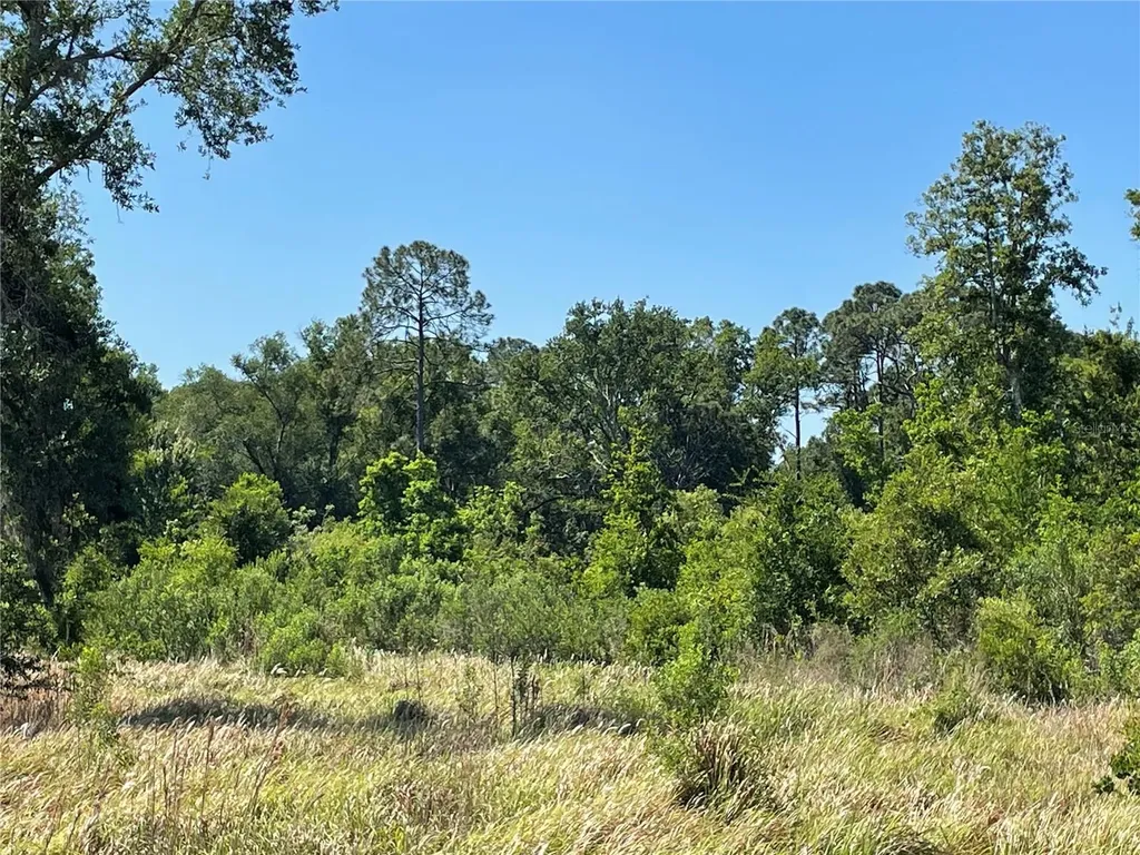 Avonwood Tampa FL 33625