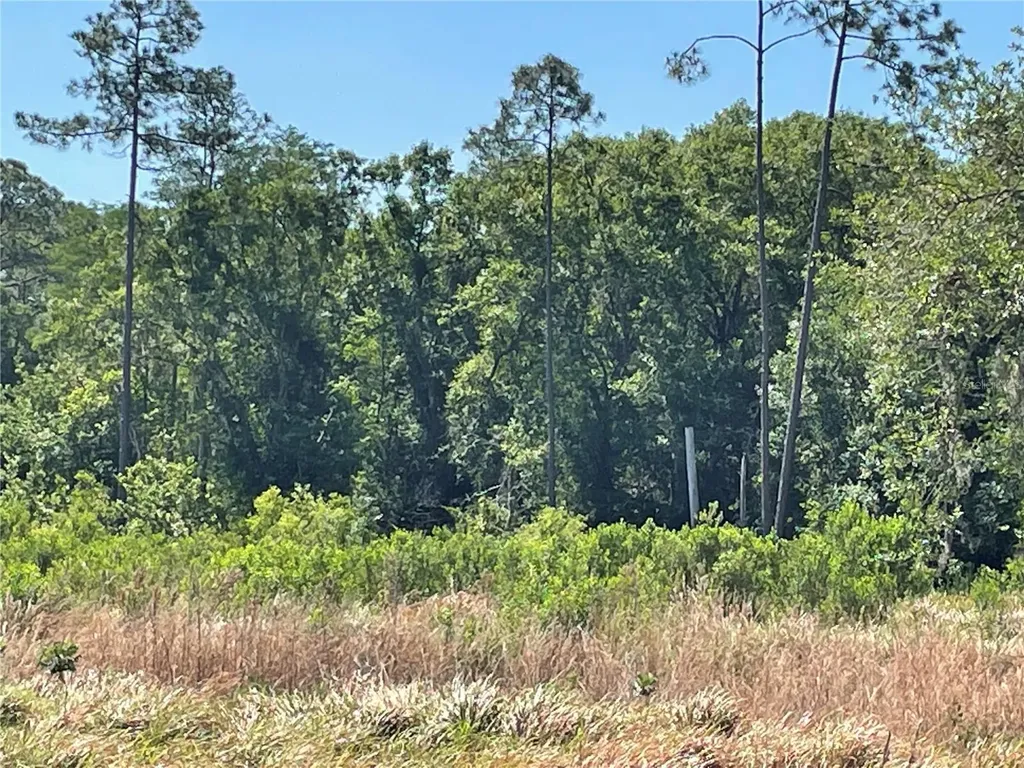 Avonwood Tampa FL 33625