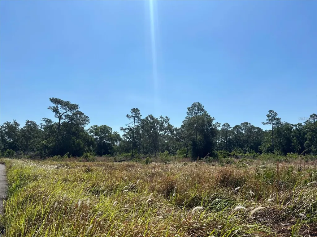 Avonwood Tampa FL 33625