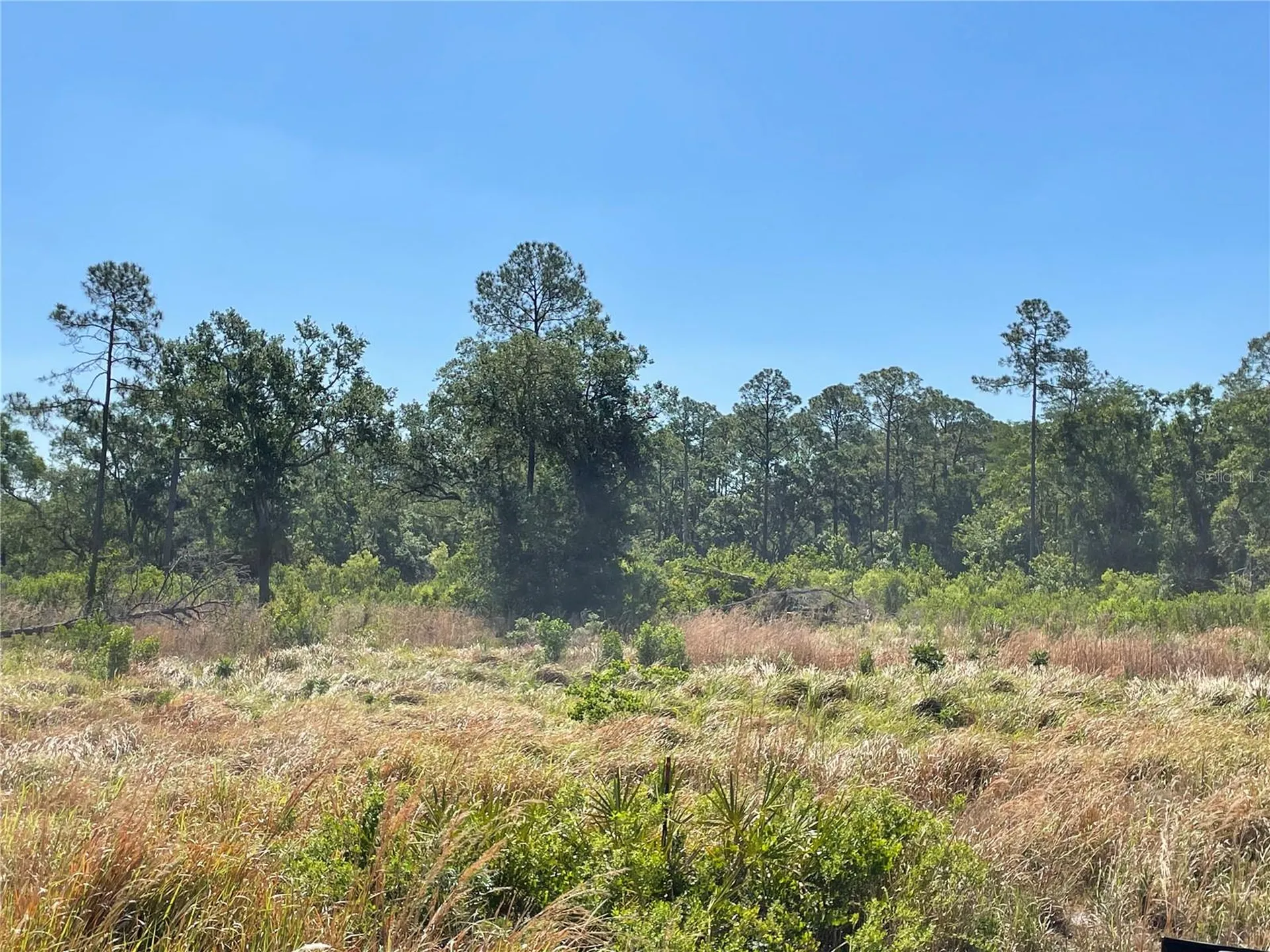 Avonwood Tampa FL 33625