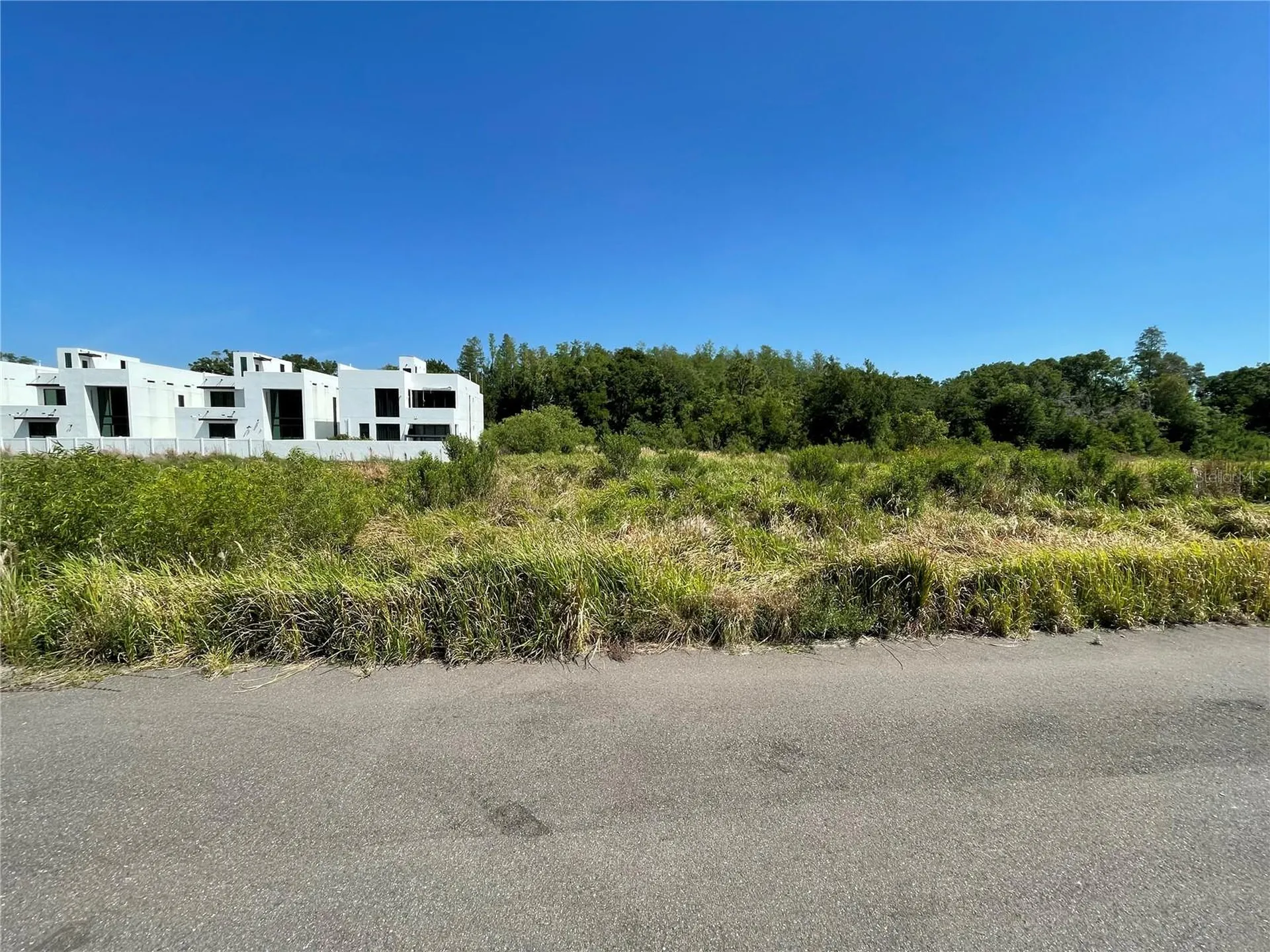 Avonwood Tampa FL 33625