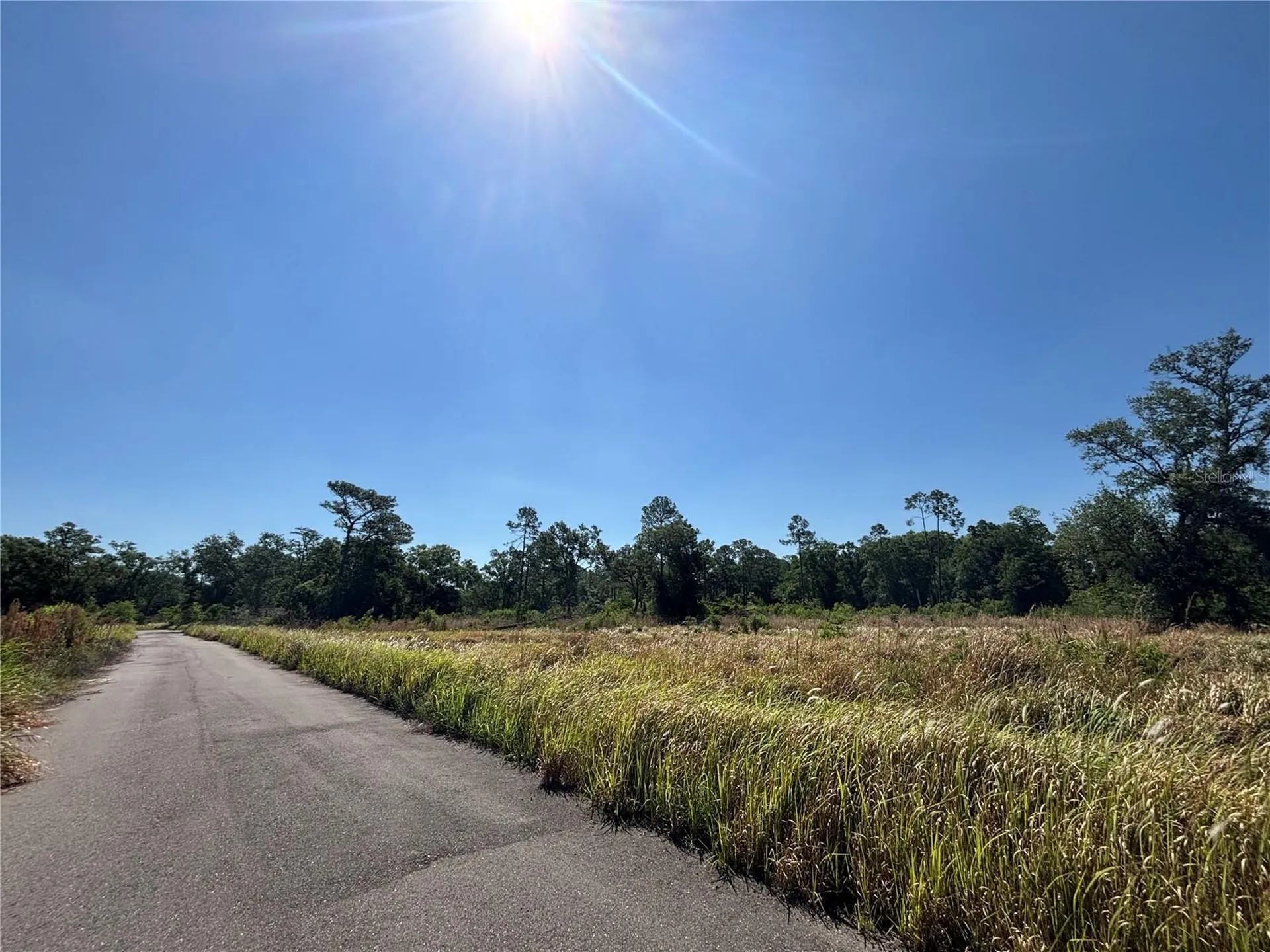 Avonwood Tampa FL 33625