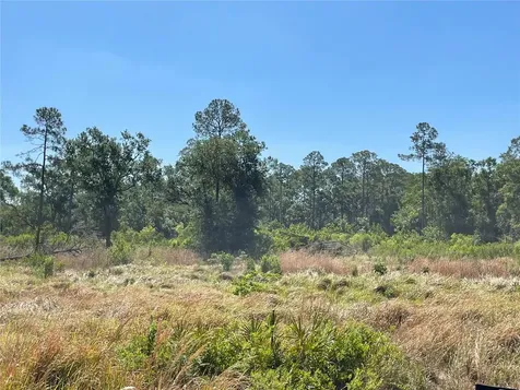 Avonwood Tampa FL 33625