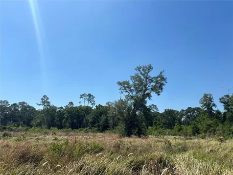Avonwood Tampa FL 33625