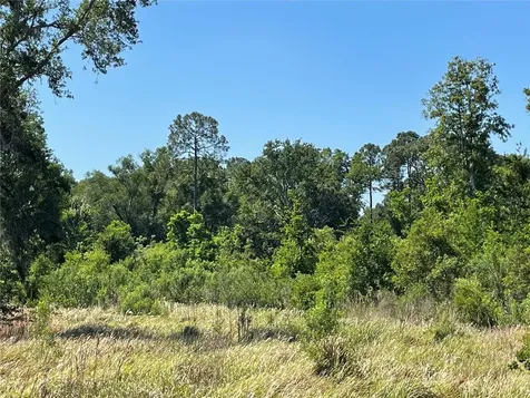 Avonwood Tampa FL 33625