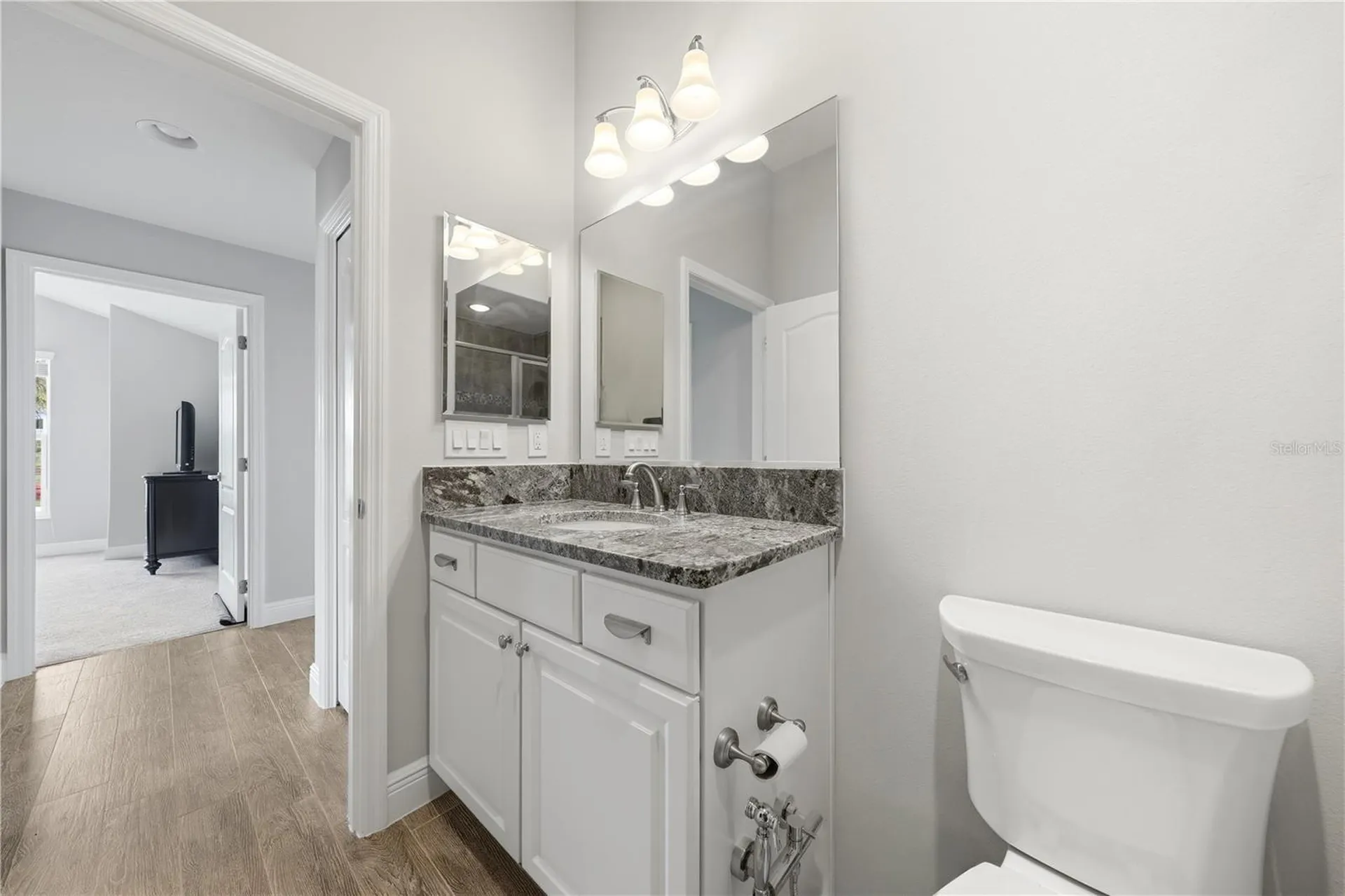 1166 Blount Avenue The Villages FL 32163