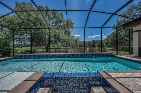 1015 Bellamare Trail Trinity FL 34655