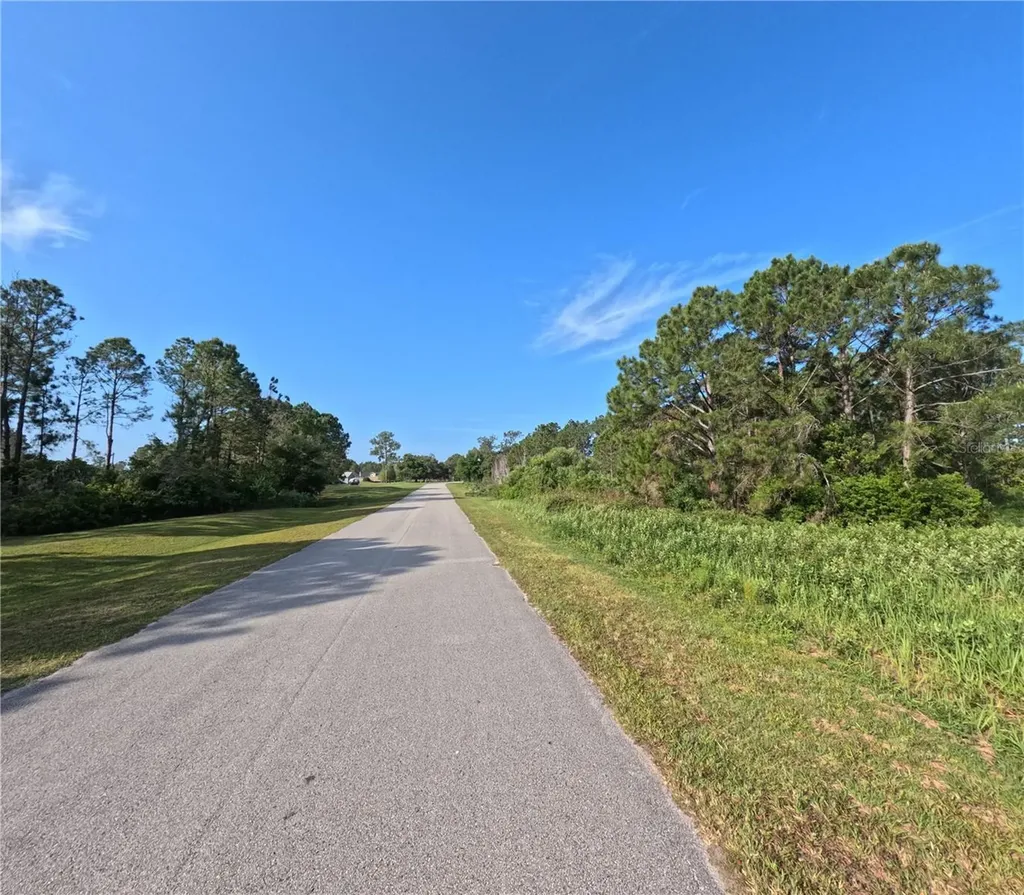 11031 Arrowtree Boulevard Clermont FL 34715