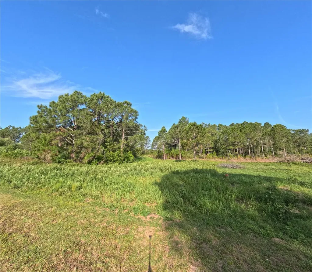 11031 Arrowtree Boulevard Clermont FL 34715