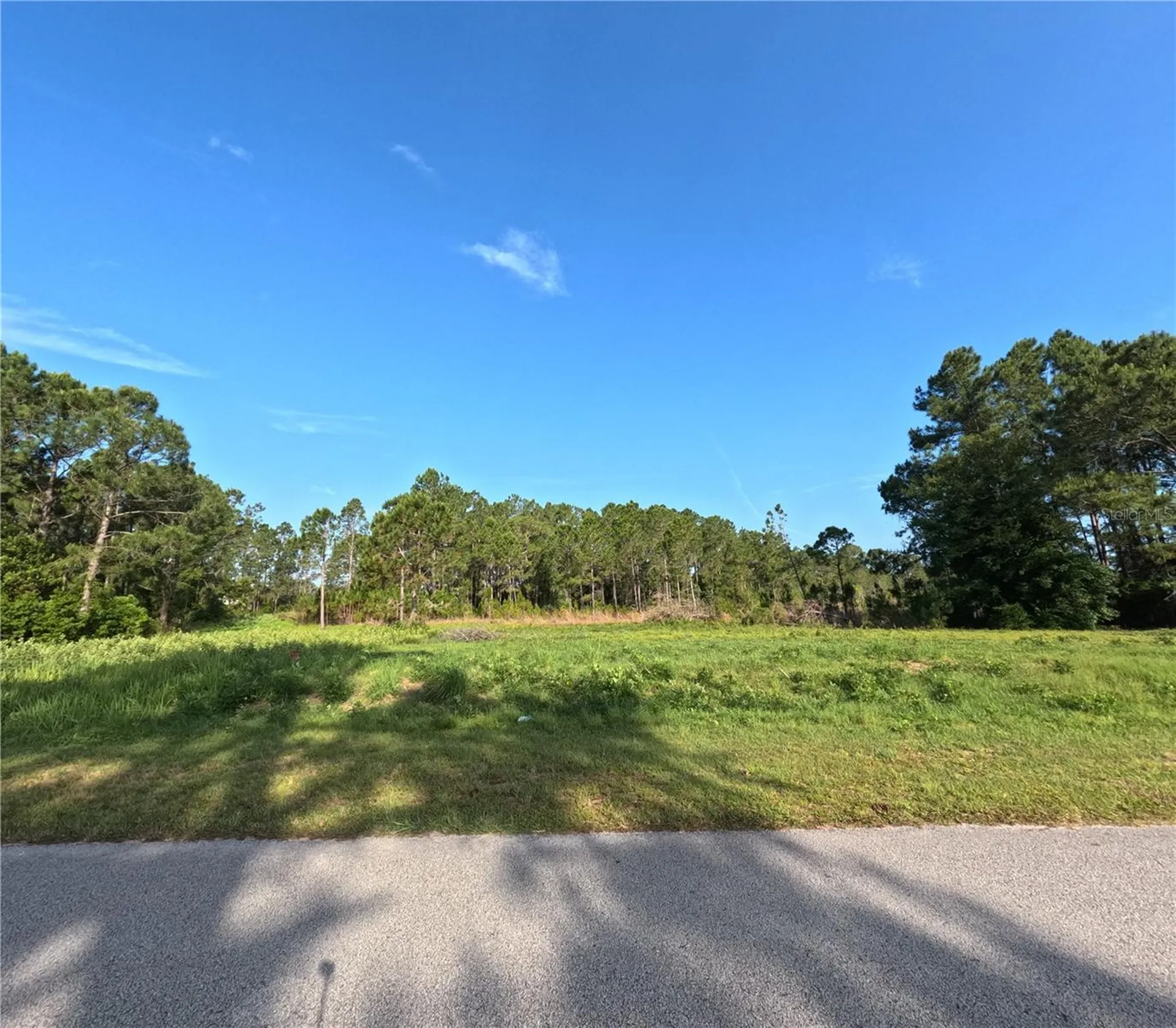 11031 Arrowtree Boulevard Clermont FL 34715
