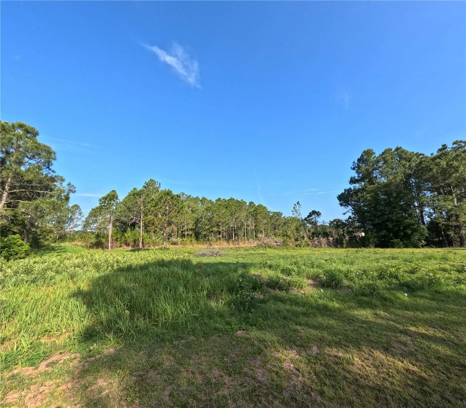 11031 Arrowtree Boulevard Clermont FL 34715