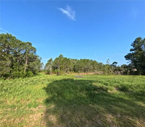 11031 Arrowtree Boulevard Clermont FL 34715