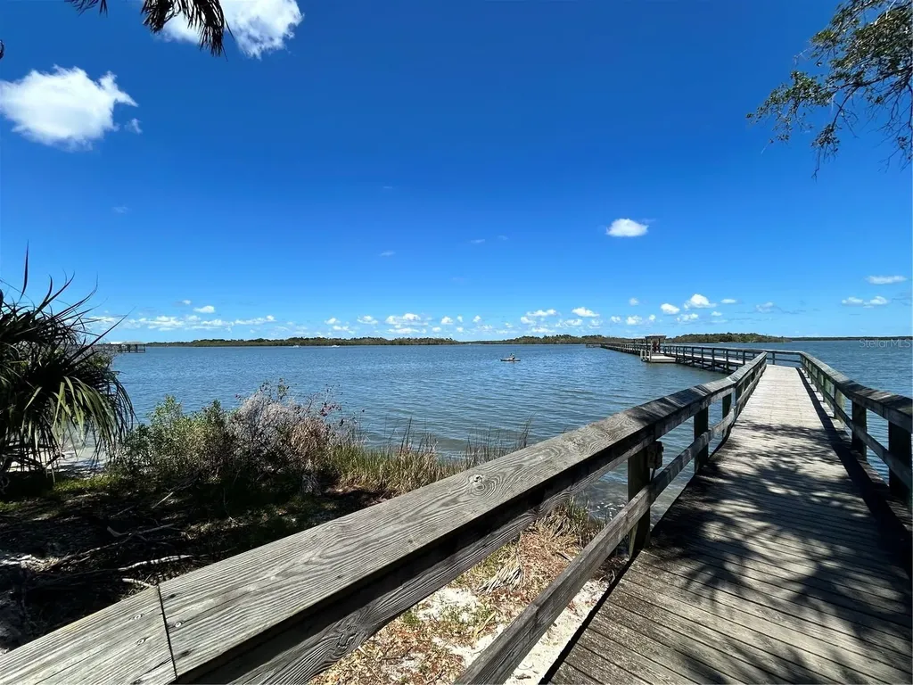 317 Water Landing Drive Oak Hill FL 32759