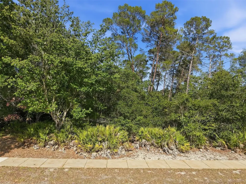 6134 Waters Way Weeki Wachee FL 34607