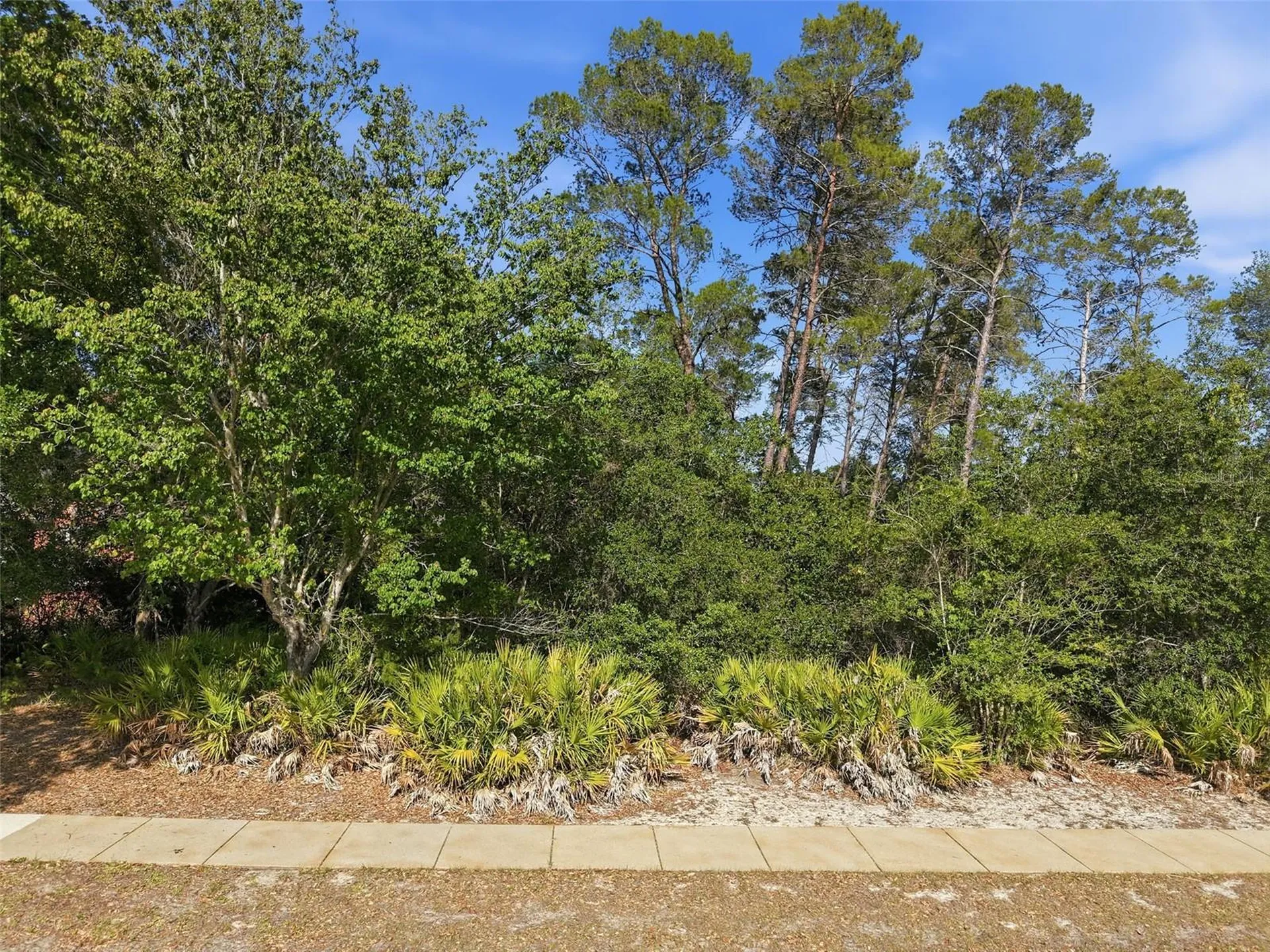 6134 Waters Way Weeki Wachee FL 34607