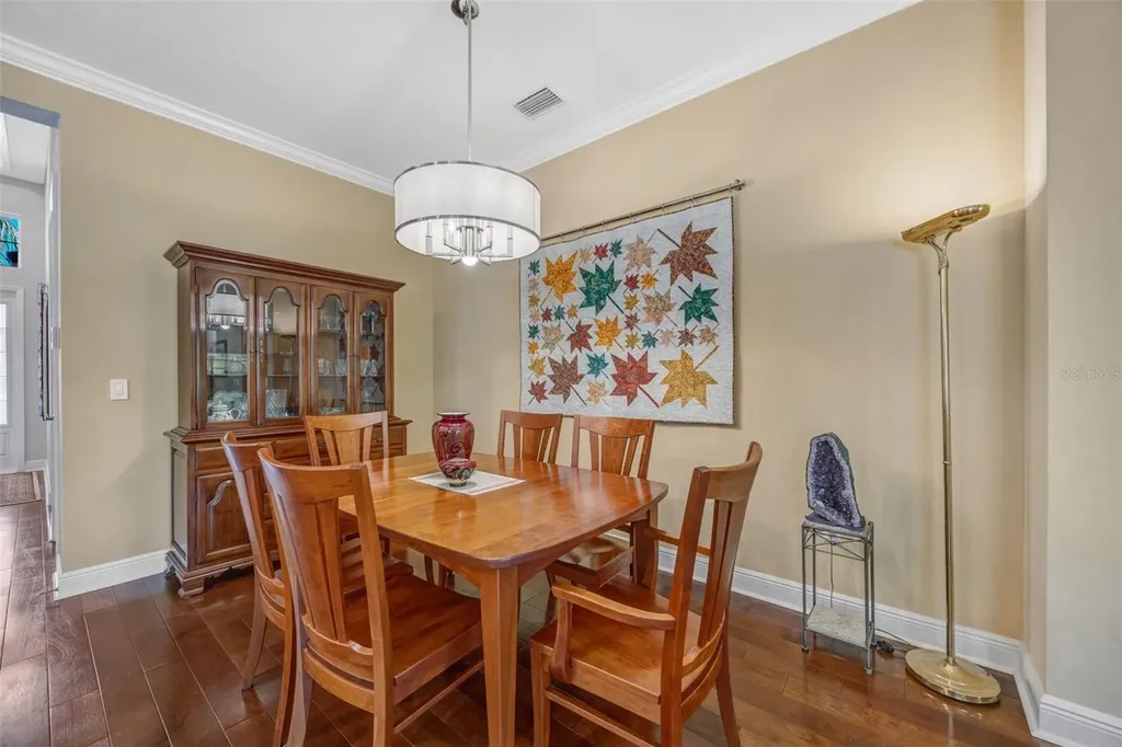 2415 Oakwood Preserve Drive Wesley Chapel FL 33543