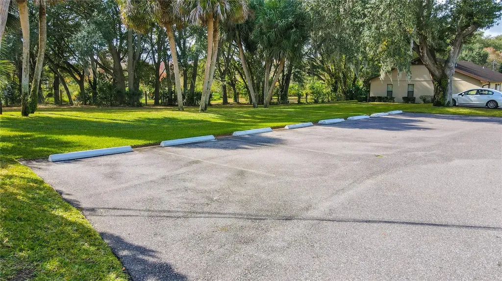 1040 S Buena Vista Drive Lake Alfred FL 33850