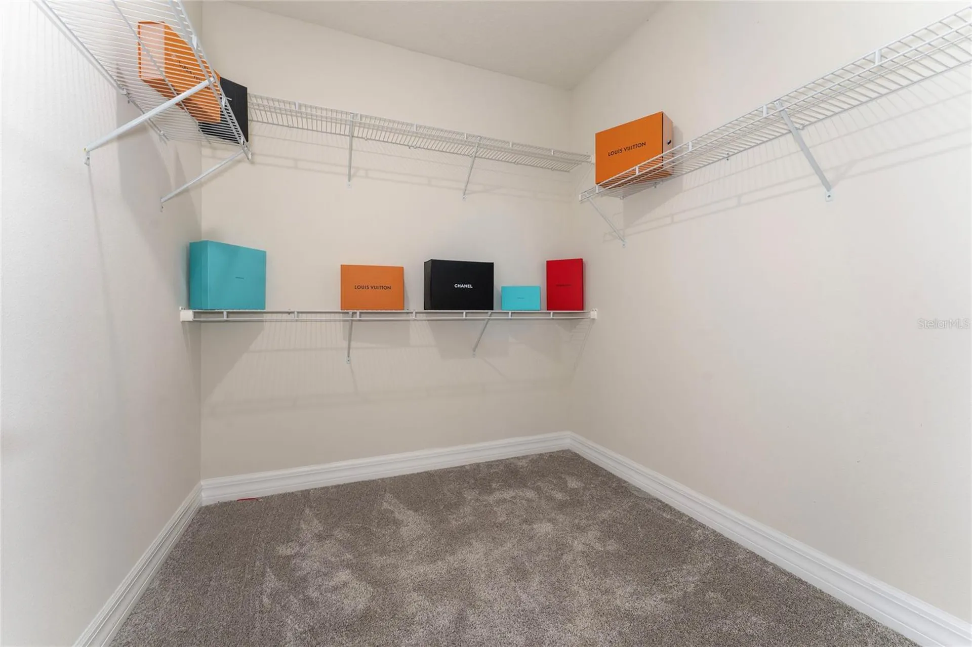 9242 Hanging Vine Court Orlando FL 32836