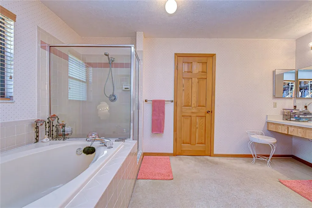 3522 Springville Drive Valrico FL 33596
