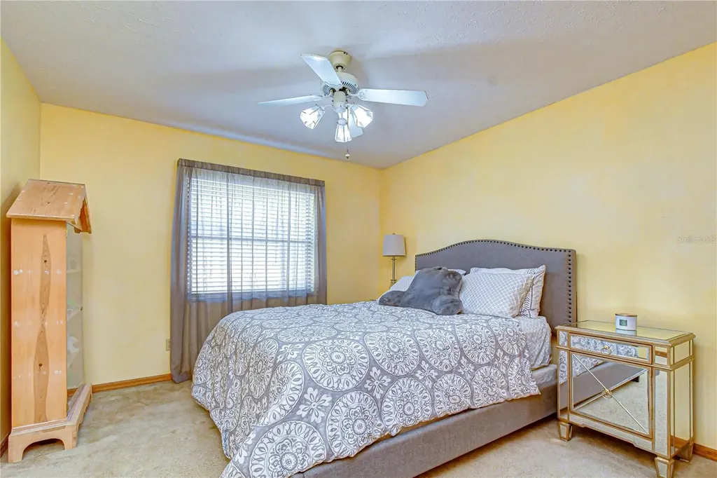 3522 Springville Drive Valrico FL 33596