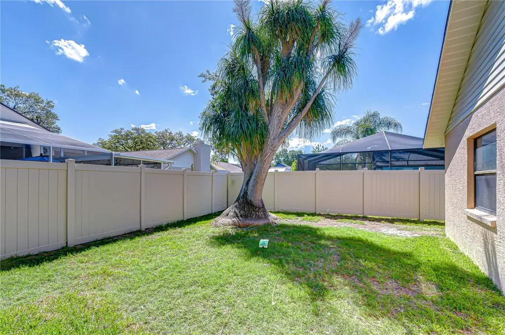 3522 Springville Drive Valrico FL 33596