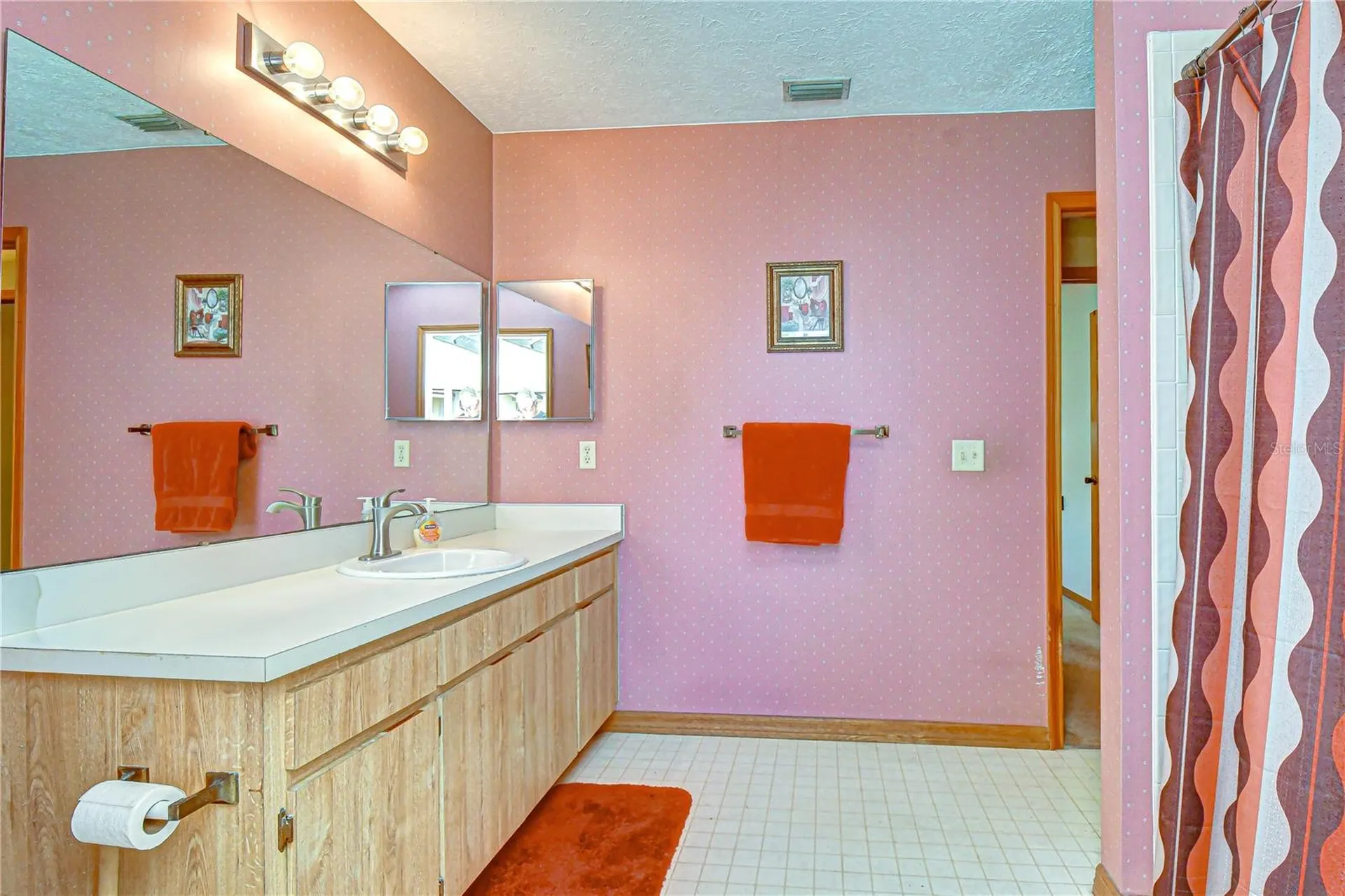 3522 Springville Drive Valrico FL 33596