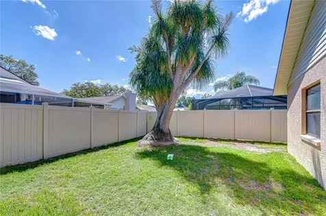 3522 Springville Drive Valrico FL 33596