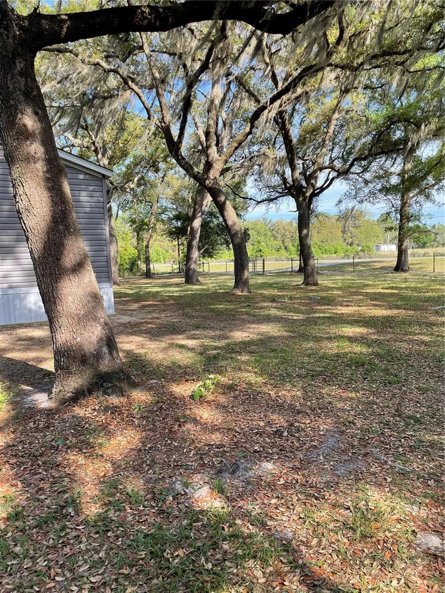 7697 NW 165th Street Trenton FL 32693