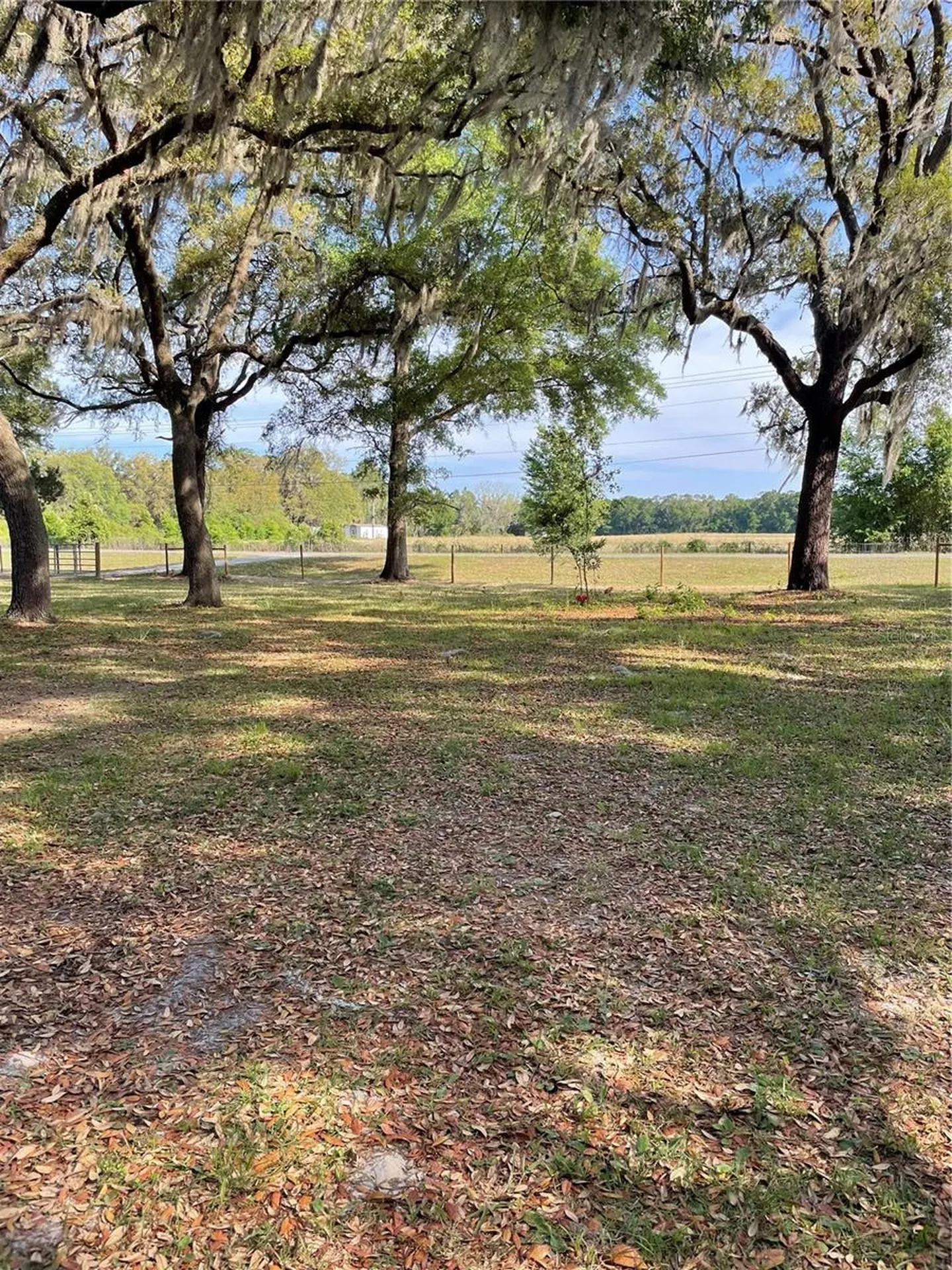 7697 NW 165th Street Trenton FL 32693