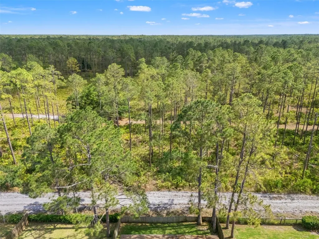 9403 Willow Cove Court Tampa FL 33647