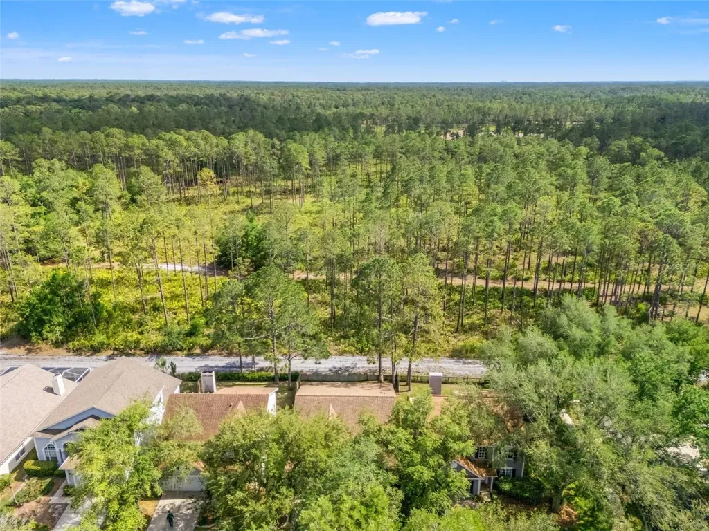 9403 Willow Cove Court Tampa FL 33647