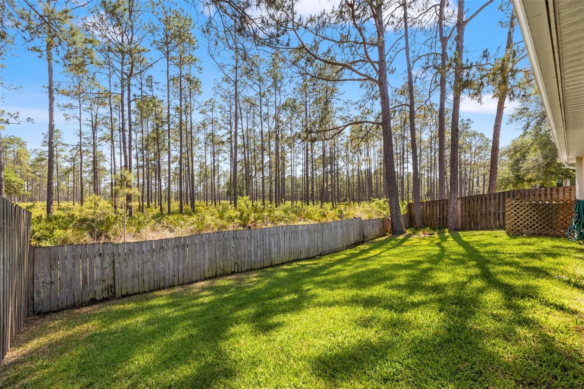 9403 Willow Cove Court Tampa FL 33647