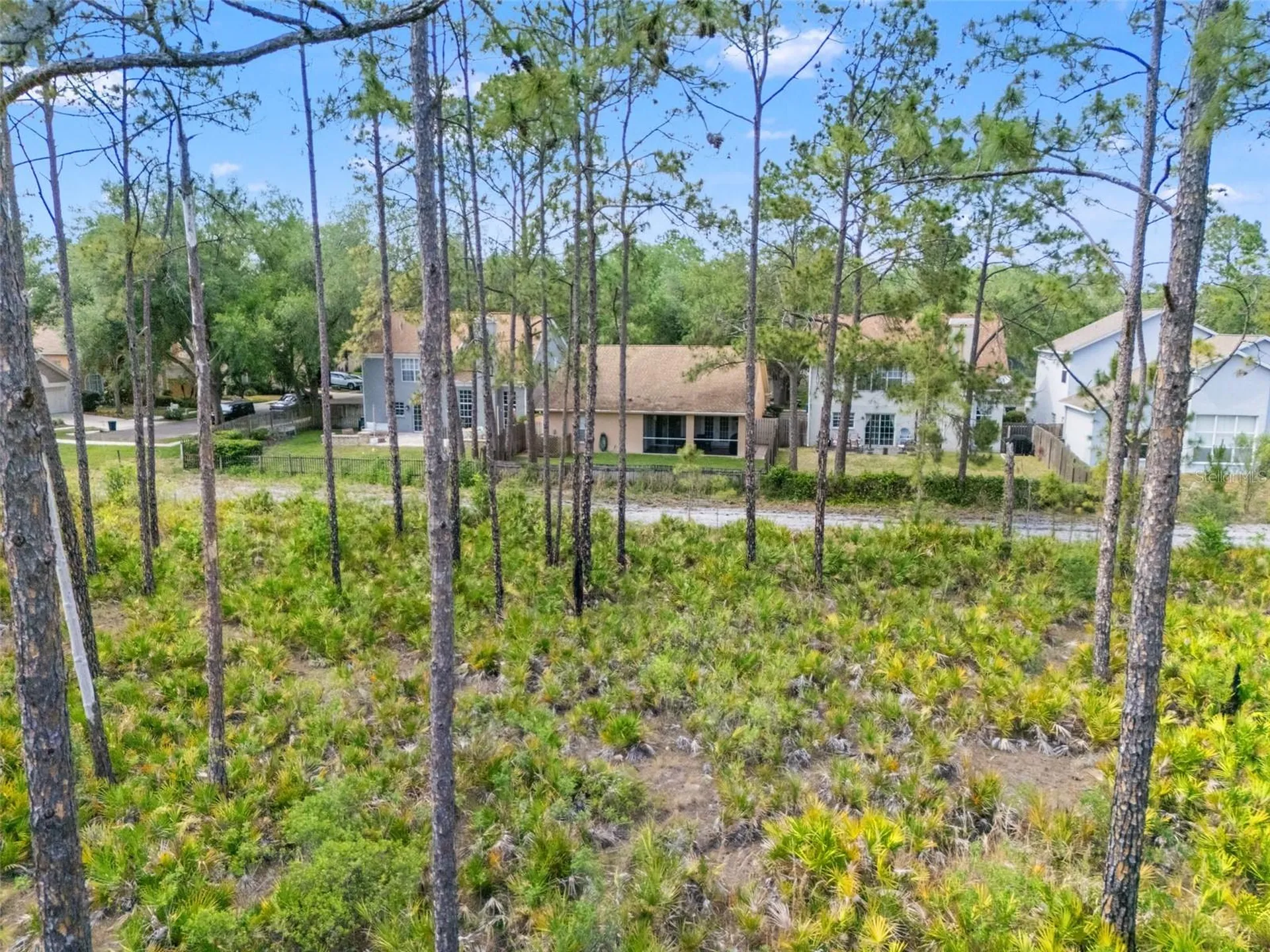 9403 Willow Cove Court Tampa FL 33647