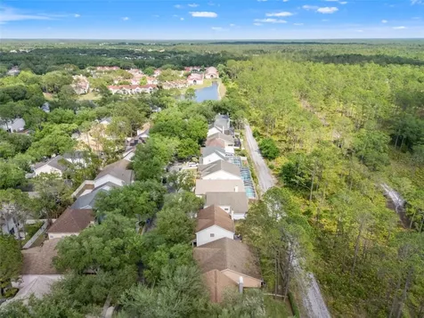 9403 Willow Cove Court Tampa FL 33647