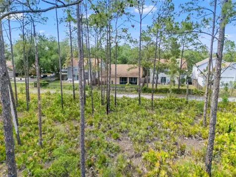 9403 Willow Cove Court Tampa FL 33647