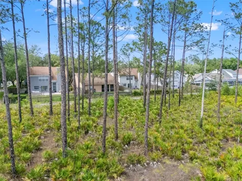 9403 Willow Cove Court Tampa FL 33647