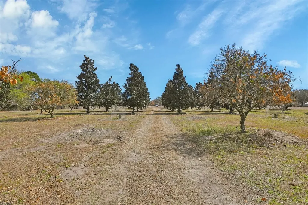 1403 Blackwelder Road De Leon Springs FL 32130