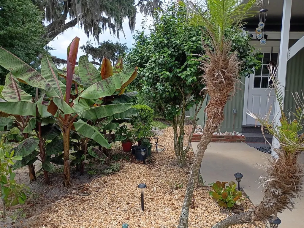 1403 Blackwelder Road De Leon Springs FL 32130