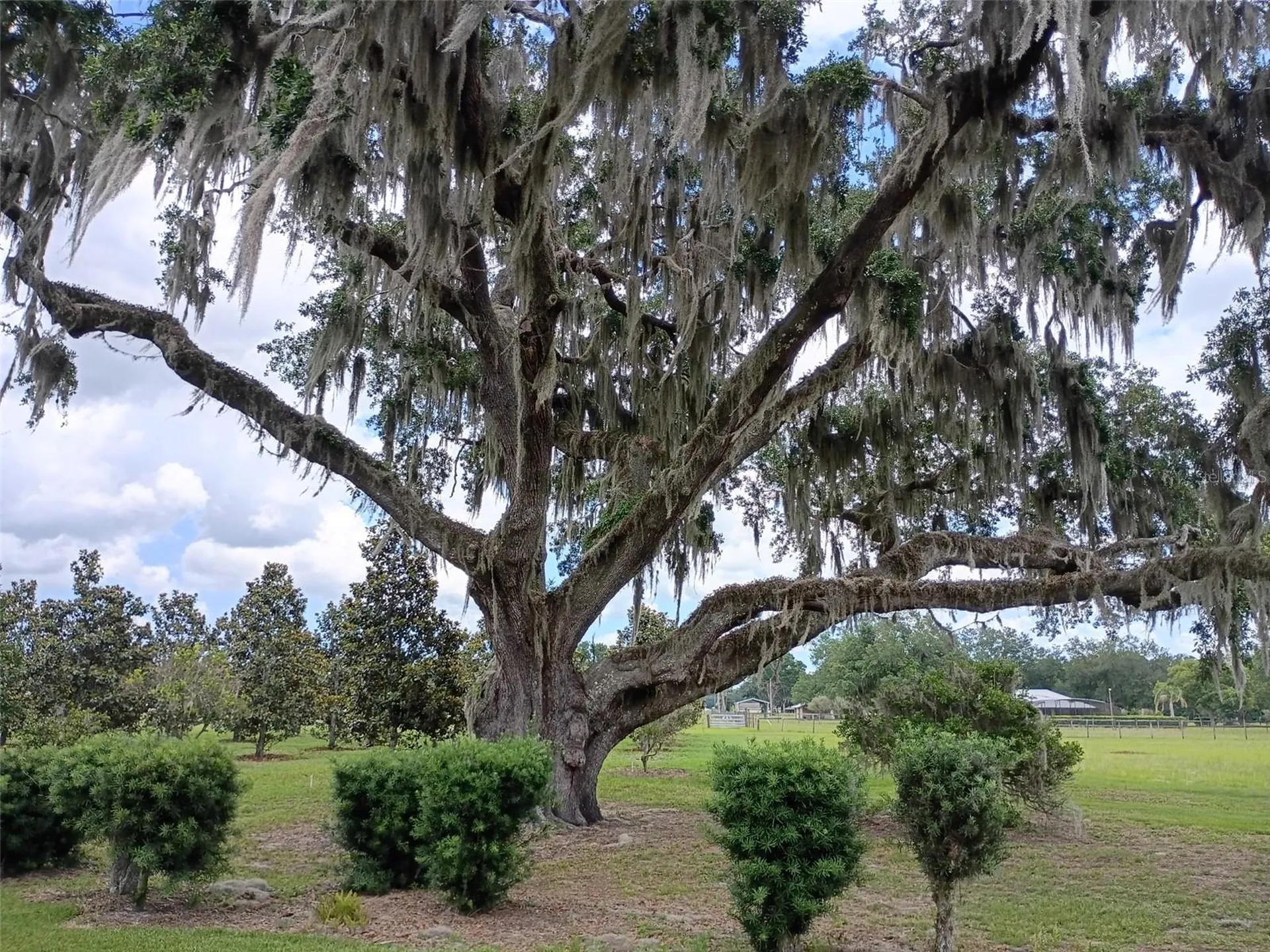 1403 Blackwelder Road De Leon Springs FL 32130