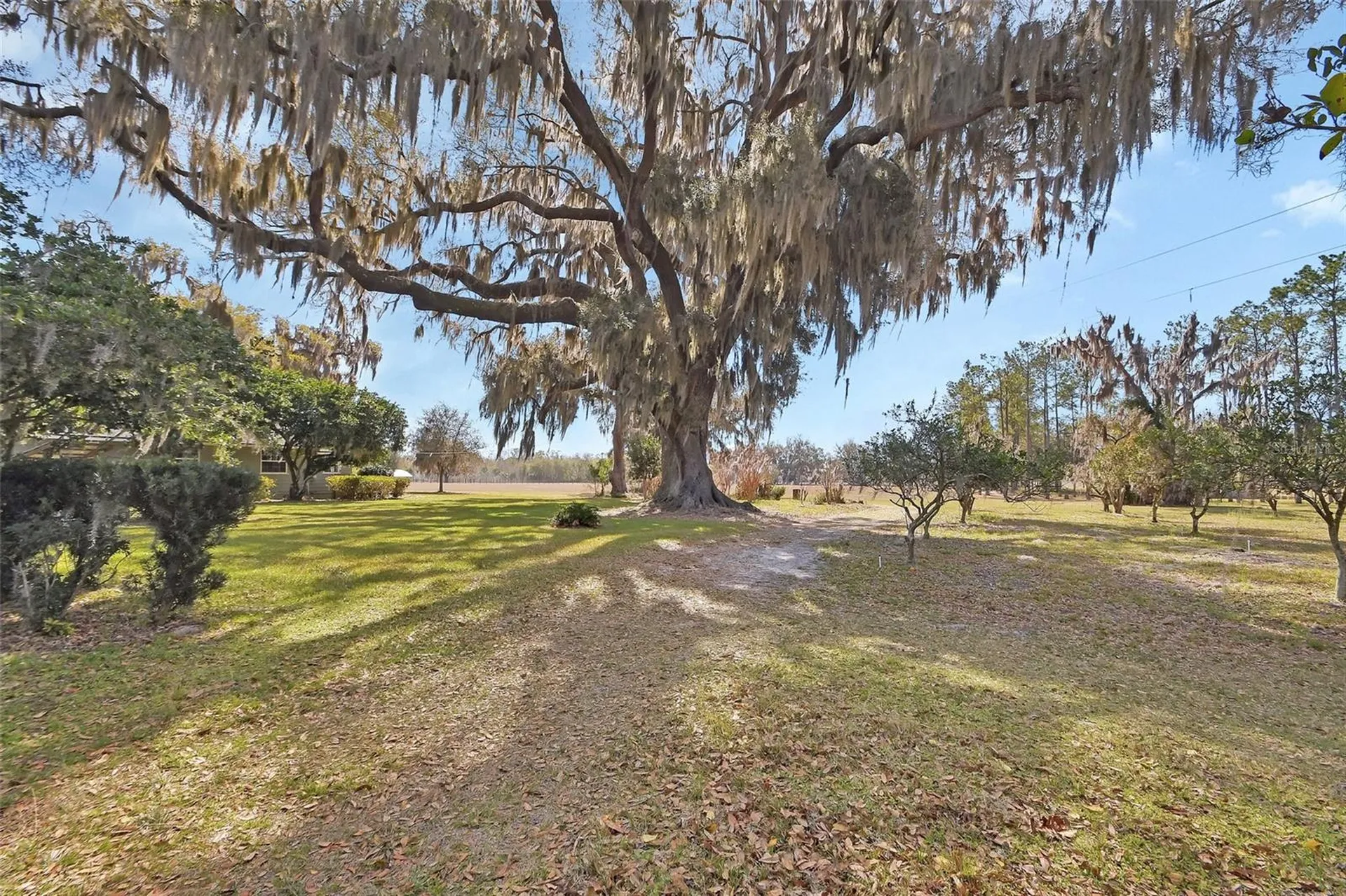 1403 Blackwelder Road De Leon Springs FL 32130