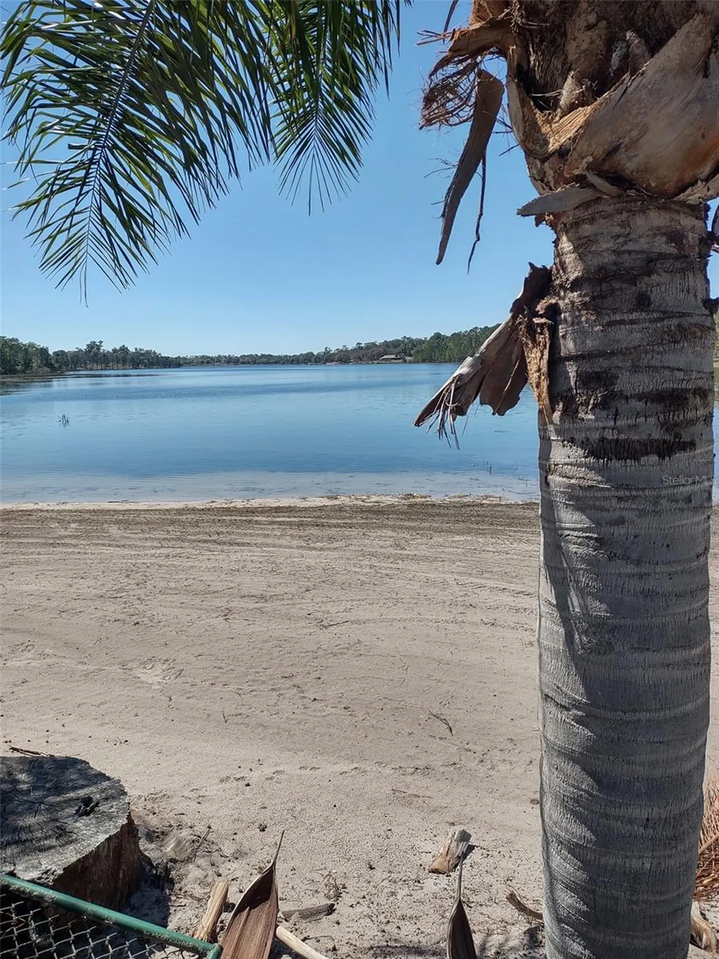 1403 Blackwelder Road De Leon Springs FL 32130