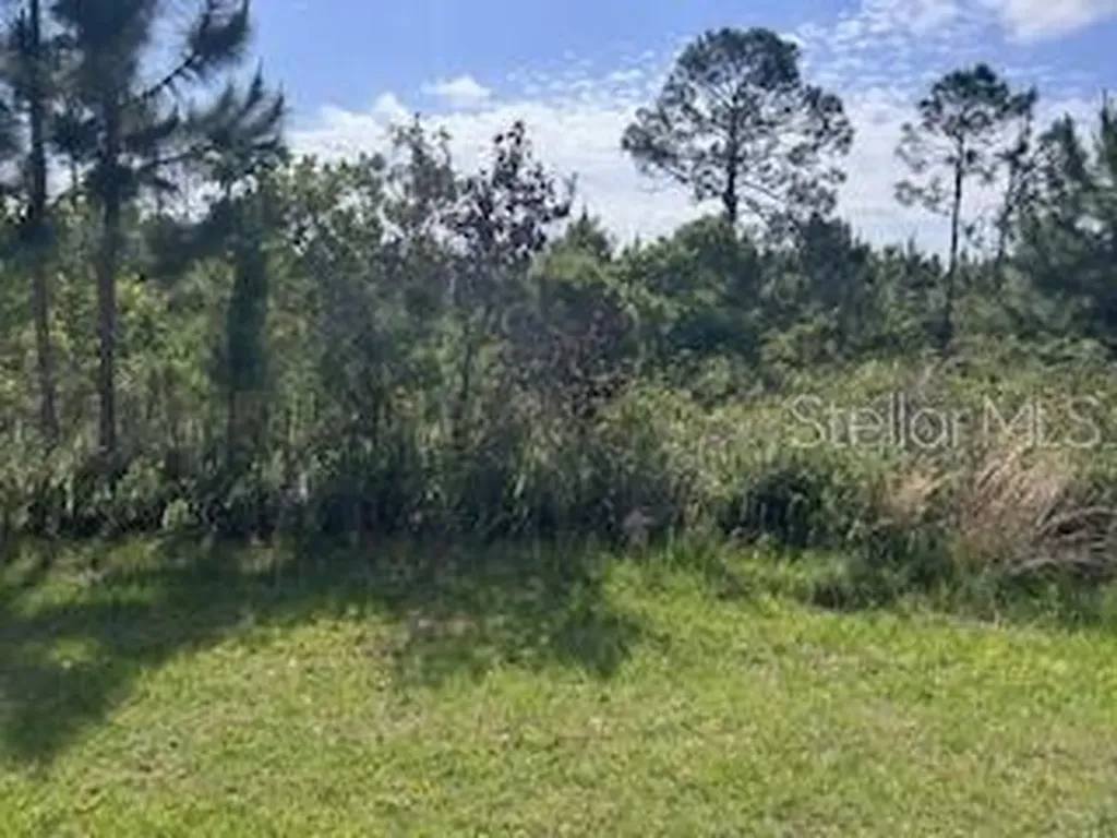 12 Desoto (red Grange Blvd) Avenue Indian Lake Estates FL 33855