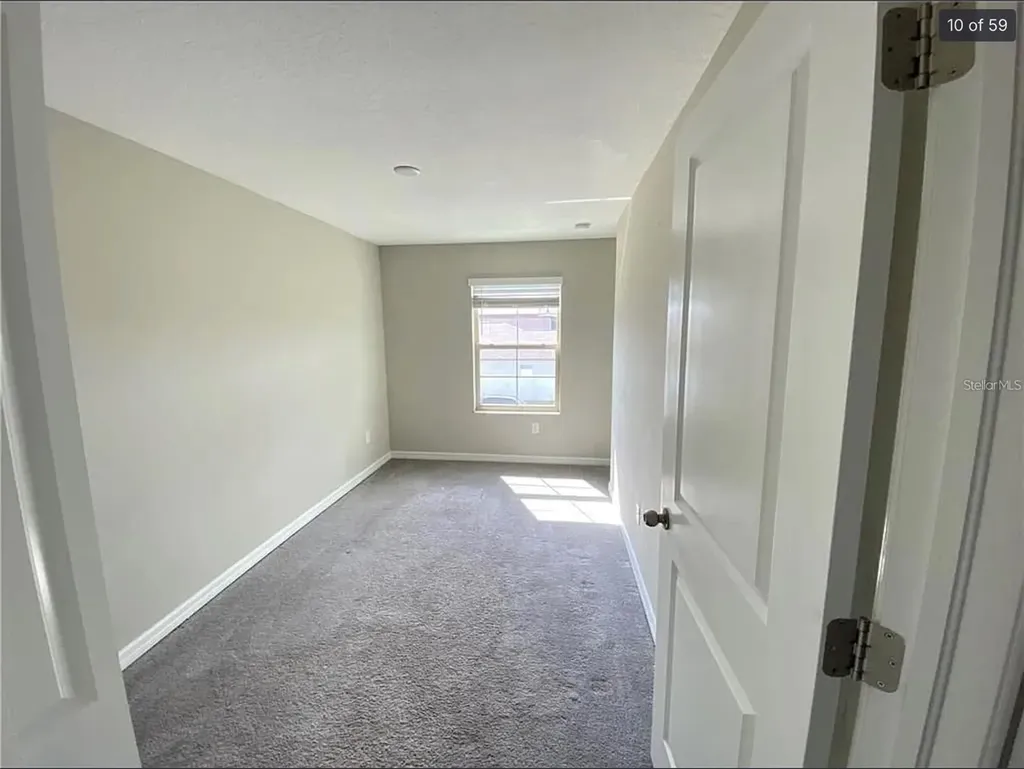 3810 Cat Mint Street Tampa FL 33619